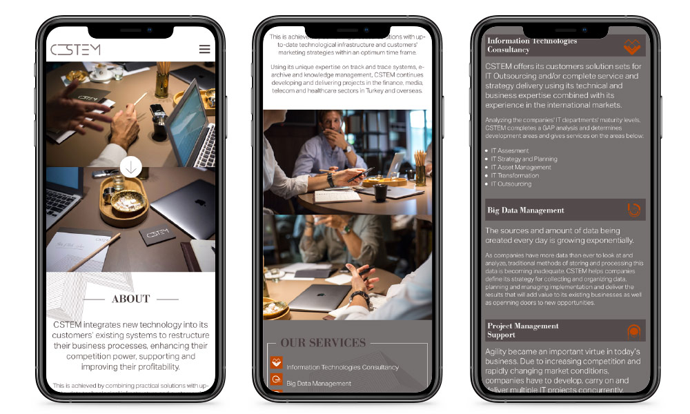 <strong>CSTEM</strong>